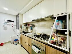 Rivercove Residences (D19), Condominium #505331631